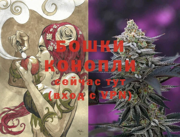 шишки Кострома