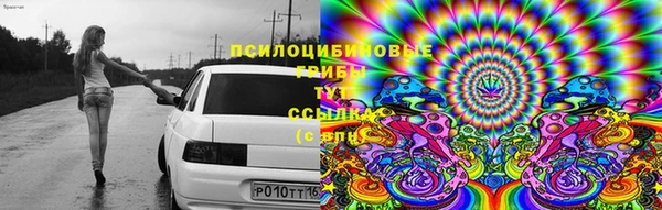 Альфа ПВП Магас