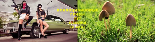 спайс Лихославль