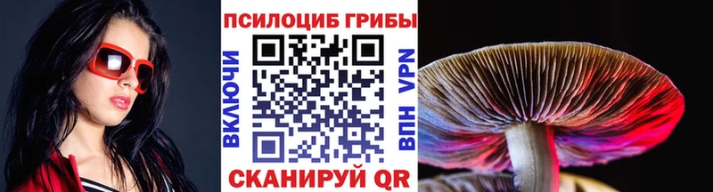ОМГ ОМГ как войти  Дзержинск  Галлюциногенные грибы мицелий 
