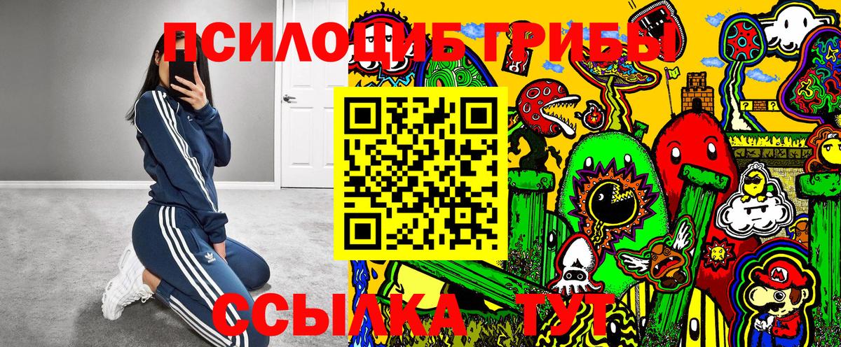 Псилоцибиновые грибы мухоморы  Дзержинск 