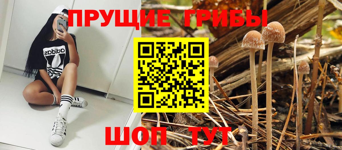 Галлюциногенные грибы прущие грибы  Вход с VPN  Дзержинск 