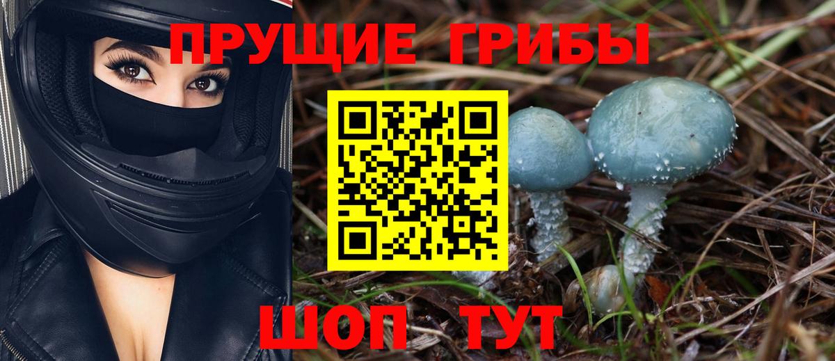 Галлюциногенные грибы GOLDEN TEACHER Дзержинск